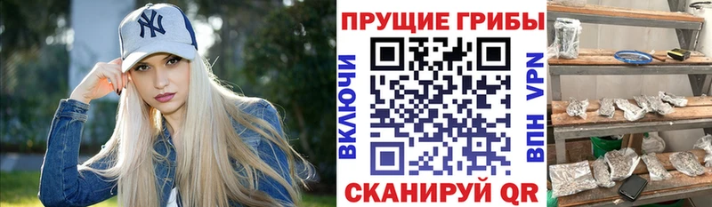 Псилоцибиновые грибы мицелий нарко площадка формула Щёкино